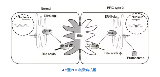 欧博ABG(中国)有限公司官网