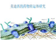 欧博ABG的药物转运体研究