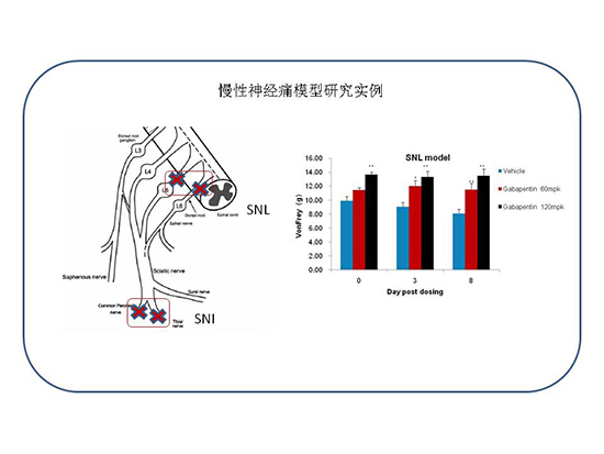 欧博ABG(中国)有限公司官网