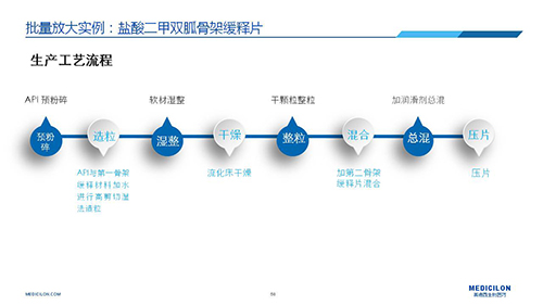 欧博ABG 变换参比制剂 李国栋博士演讲PPT