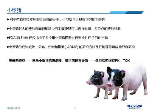 皮肤涂抹试验中，，，，，，受试动物选择小型猪更好