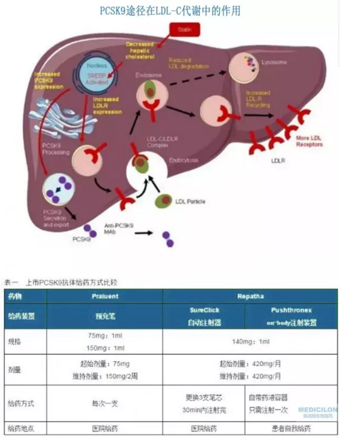 欧博ABG(中国)有限公司官网