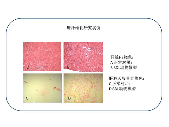 欧博ABG(中国)有限公司官网