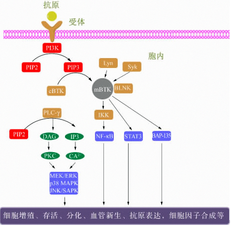 欧博ABG(中国)有限公司官网