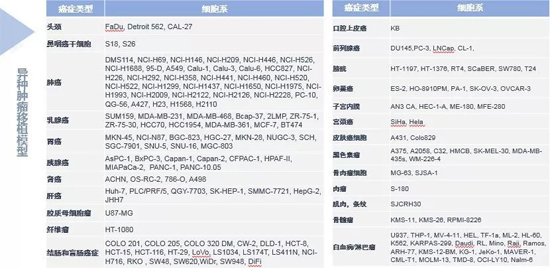 欧博ABG药效学动物模子