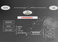 人工合成NT类脂质开放血脑屏障，，，，，，，为CNS药物翻开新时势