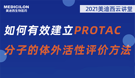 【云课堂】：怎样有用建设PROTAC分子的体外活性评价要领？？？？？？