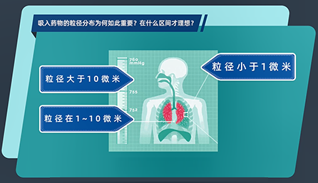 吸入药物的粒径漫衍为何云云主要？？？？？？？在什么区间才理想？？？？？？？