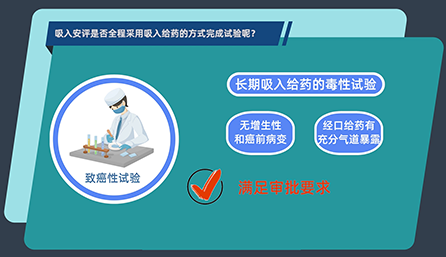 吸入安评是否全程接纳吸入给药的方法完成试验呢？？？？？？？