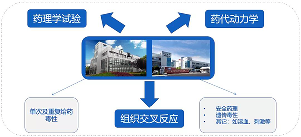 欧博ABG药代以及安评研究效劳.png