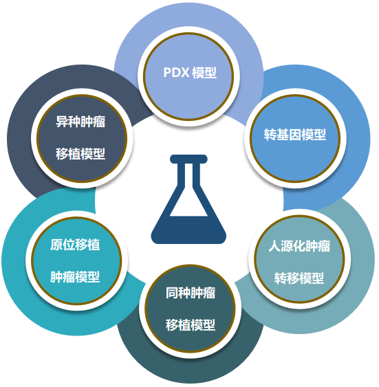 欧博ABG致力于为客户提供成熟的评估ADC体内药效的肿瘤模子.png