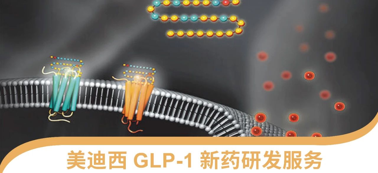 欧博ABG一站式 丨 “GLP-1”新药研发效劳能力先容