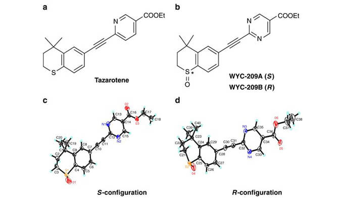 WYC-209可抑制恶性小鼠玄色素瘤肿瘤再生细胞增殖，，，，，，，本研究中SPR通过欧博ABG使用Biacore 8K举行