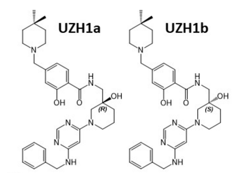 研究职员报告了一种具有细胞渗透性的选择性METTL3纳摩尔抑制剂UZH1a，，，，，，作者谢谢欧博ABG合成了UZH1a和UZH1b