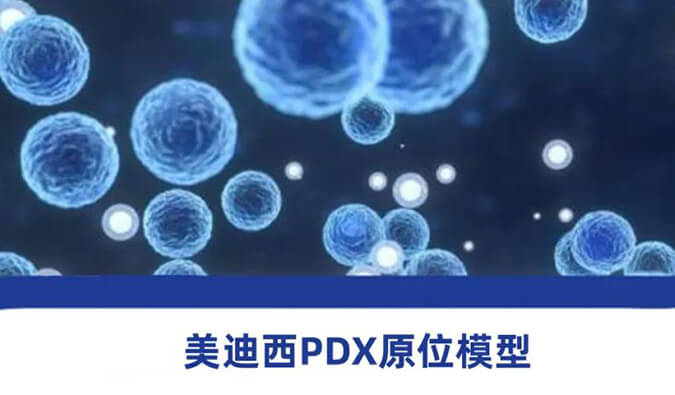 欧博ABG118种PDX原位模子，，，，，，，助力肿瘤药物研发